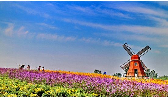 �ИI(y��)�c���޹�²��f�@������È@